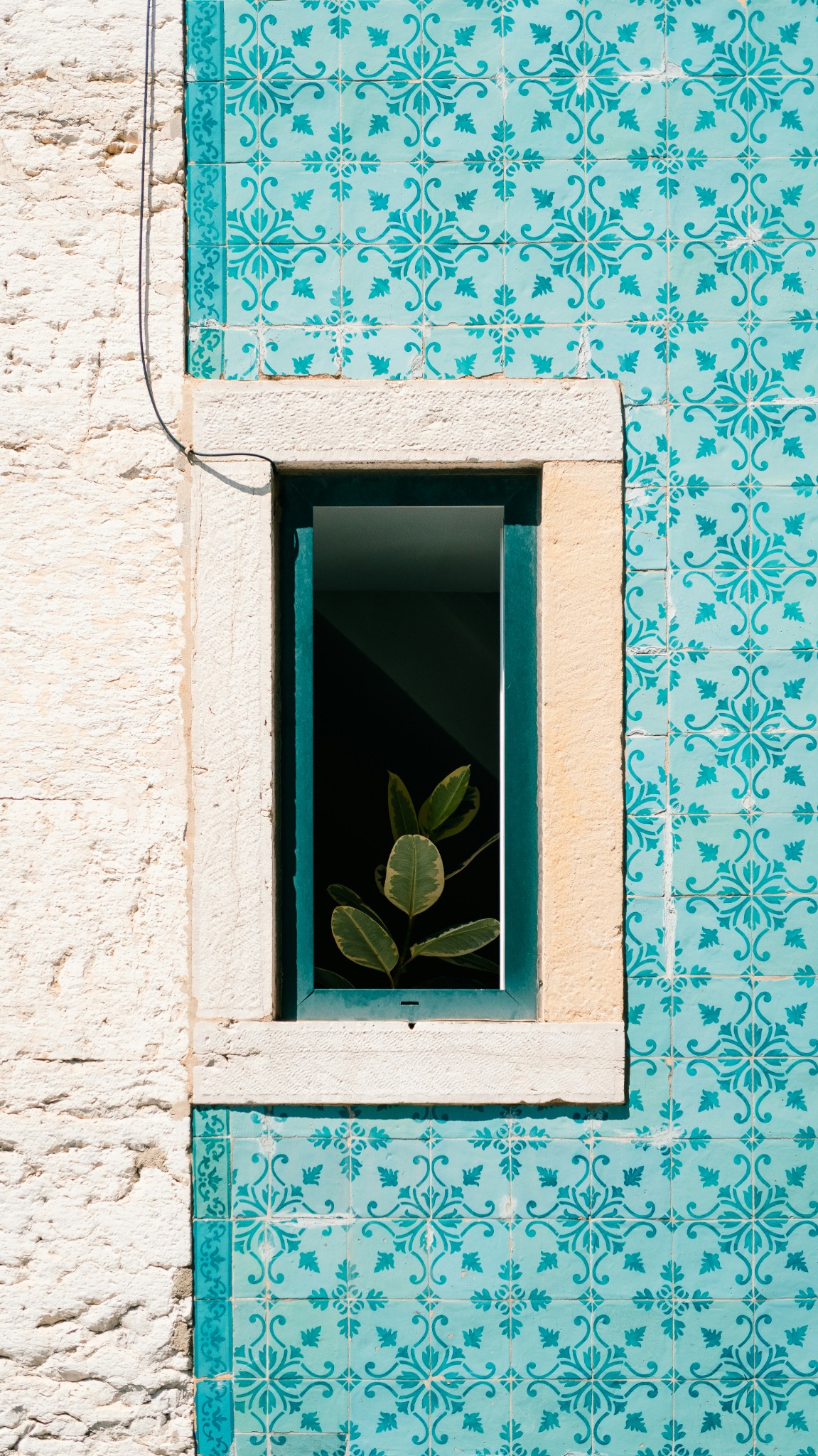 Bougainvillea and a tiled roof in Cascais
